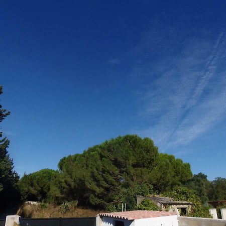Joli Mazet Entre Montpellier Et Nimes Apartment Емарг Екстериор снимка