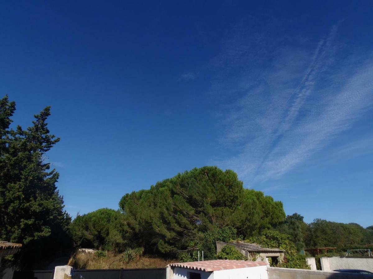 Joli Mazet Entre Montpellier Et Nimes Apartment Емарг Екстериор снимка